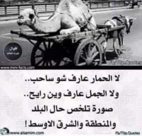 Screenshot ١٢-٠٣-٢٠٢٢ ١٤.٤٩.٢٤.jpg