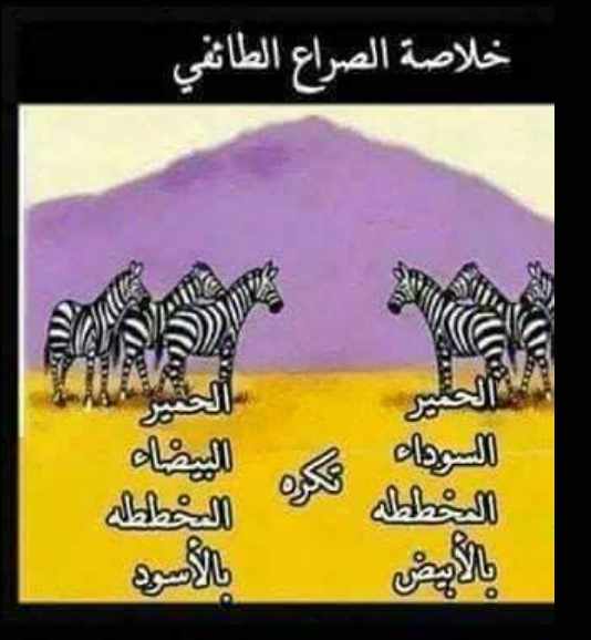 Screenshot ١٢-٠٨-٢٠٢٢ ١٠.٥٠.٠٢.jpg
