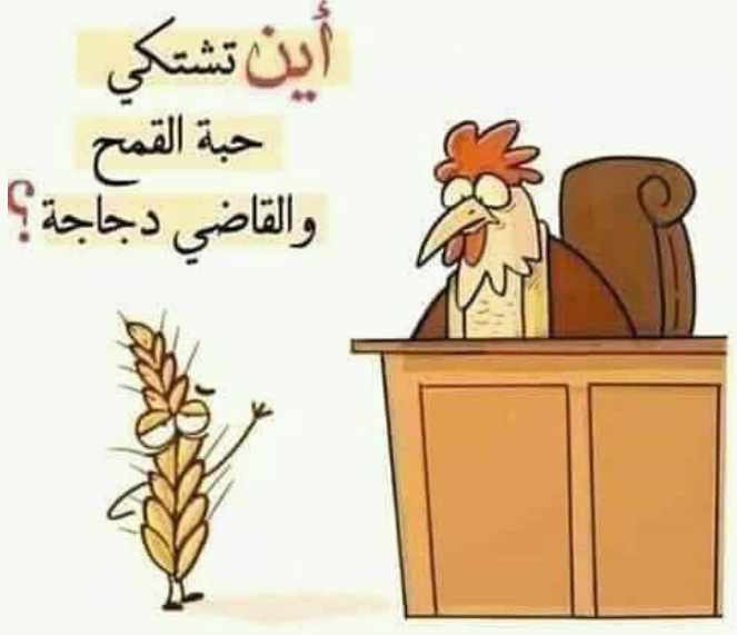 Screenshot ١٢-٠٨-٢٠٢٢ ١٣.٣١.١٣.jpg