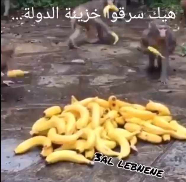 Screenshot ١٢-٢١-٢٠٢٢ ١٧.٤٩.٠٨.jpg