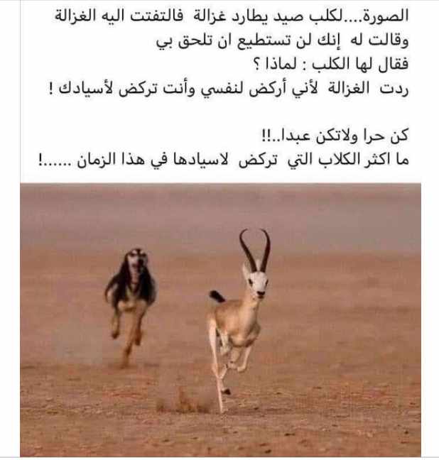 Screenshot ١٢-٢٦-٢٠٢٢ ١٧.١٣.٠٠.jpg